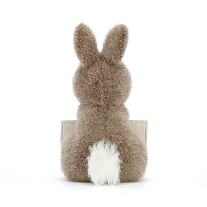 Messenger Bunny - JKA Toys