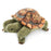 Tortoise Finger Puppet - JKA Toys