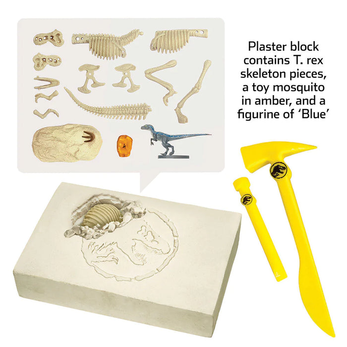 Jurassic World Dinosaur Dig - Blue, T Rex, and Amber - JKA Toys