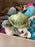 Pebbles Turtle - JKA Toys