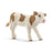 Simmental Calf - JKA Toys