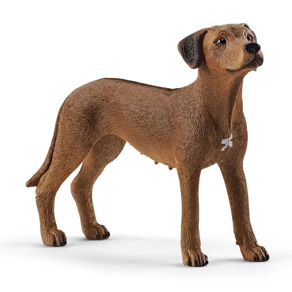 Rhodesian Ridgeback Items Rhodesian Ridgeback Figure — JKA Toys