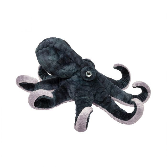 Winky Octopus