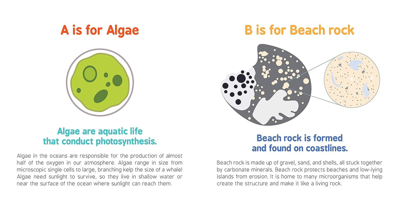 ABC’S Of Oceanography - JKA Toys