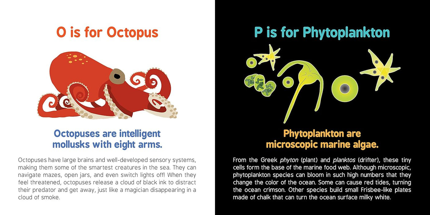 ABC’S Of Oceanography - JKA Toys