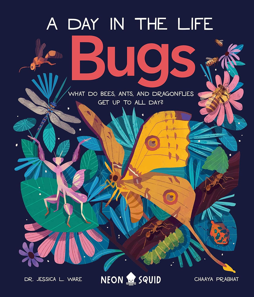 A Day in the Life - Bugs - JKA Toys