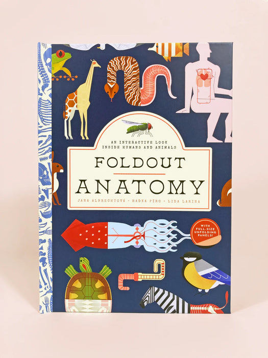 Foldout Anatomy - JKA Toys