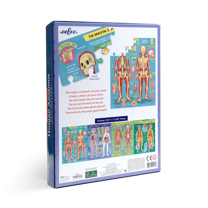 48 Piece Human Anatomy Puzzles (Set of 4) - JKA Toys