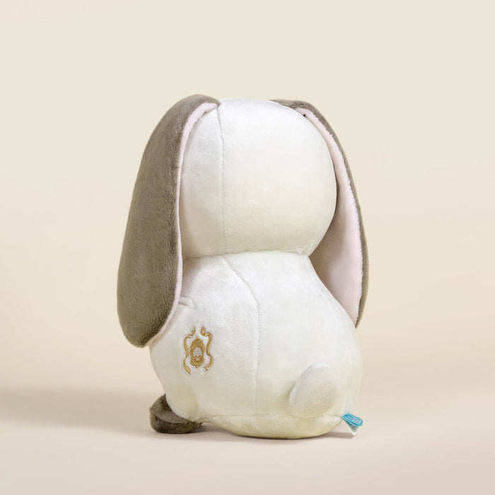 Lop Bunni the Lop Eared Rabbit