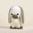 Lop Bunni the Lop Eared Rabbit