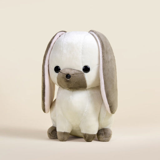 Lop Bunni the Lop Eared Rabbit