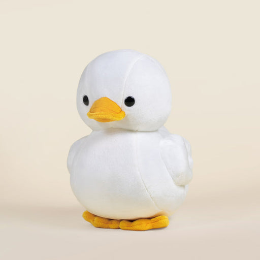 Ducki the Duck