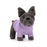 Sweater French Bulldog Purple - JKA Toys