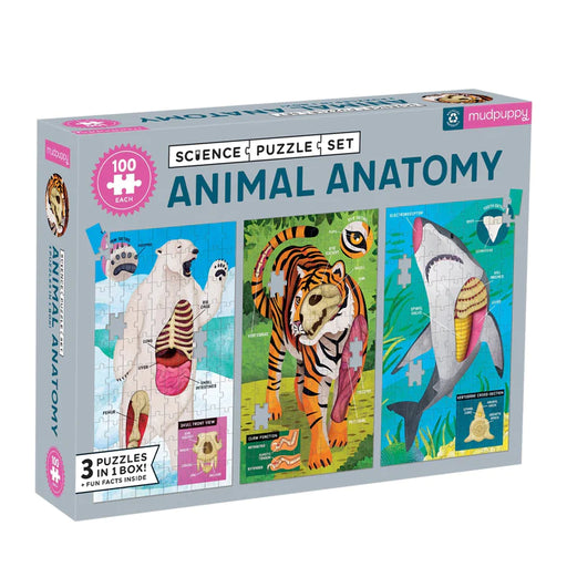 Animal Anatomy - JKA Toys