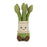 Amuseables Asparagus