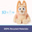 Sustainably Soft Bingo Plush - JKA Toys