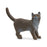 British Shorthair Cat - JKA Toys