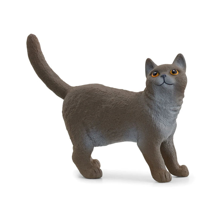 British Shorthair Cat - JKA Toys