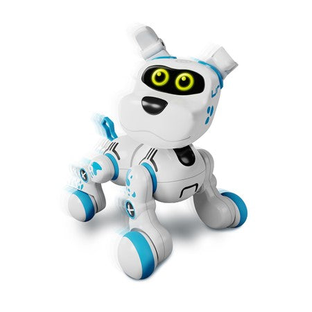 Buddy Bot - JKA Toys