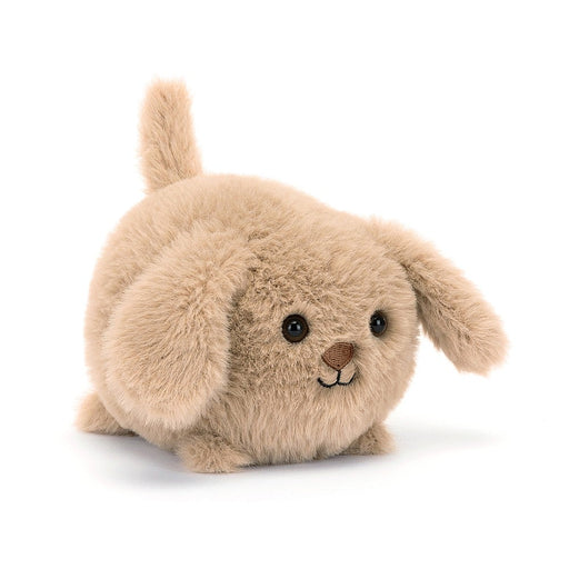 Caboodle Puppy - JKA Toys