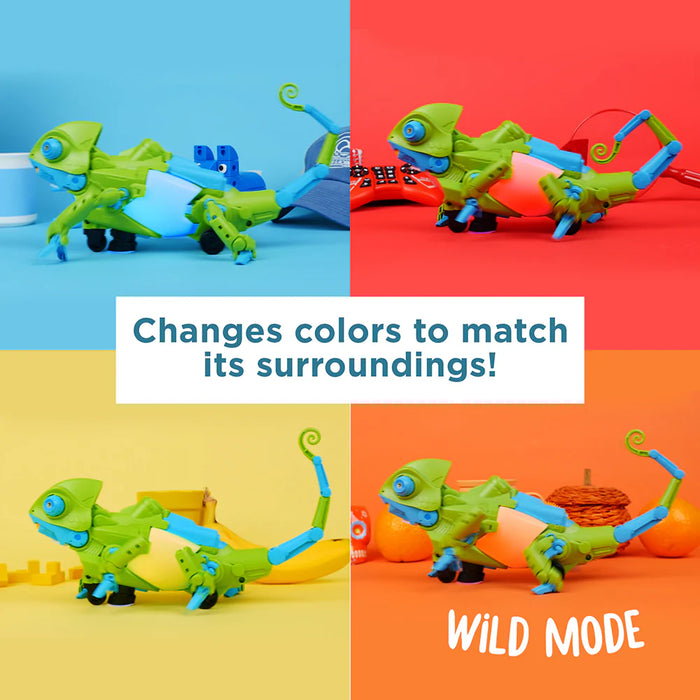 My Robotic Pet: Coding Chameleon