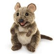 Quokka Puppet - JKA Toys