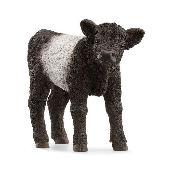 Galloway Calf - JKA Toys