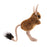 Jerboa Puppet - JKA Toys