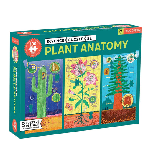 Plant Anatomy - JKA Toys