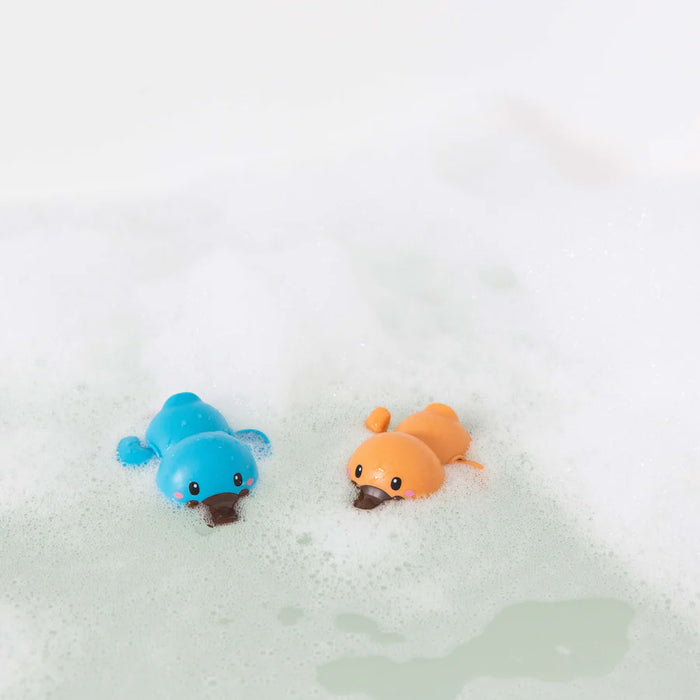 Bath Racers Platypuses - JKA Toys