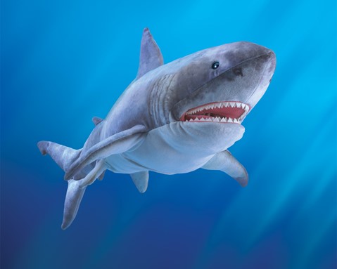 Great White Shark - JKA Toys