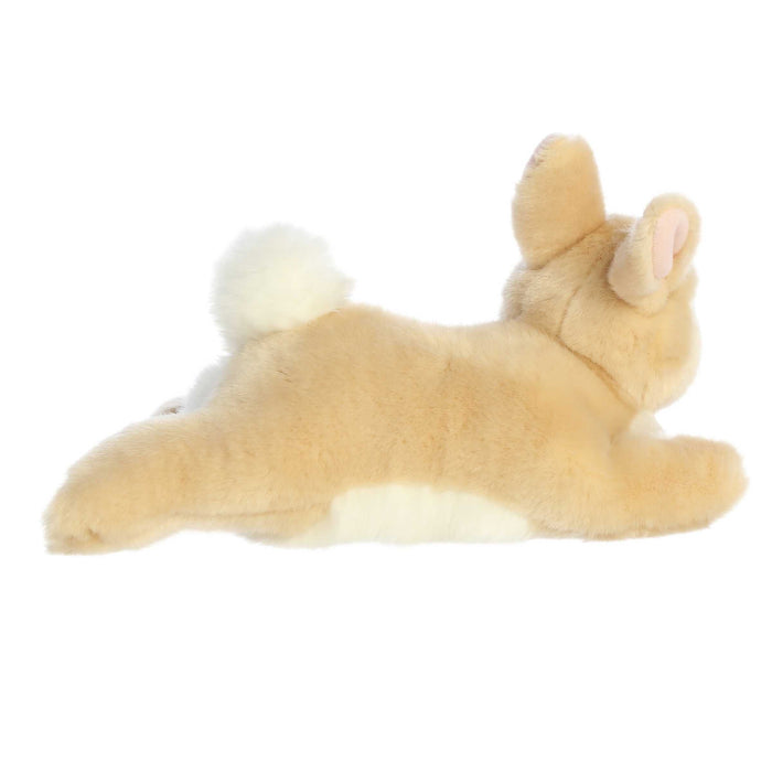 Tan Rex Resting Bunny