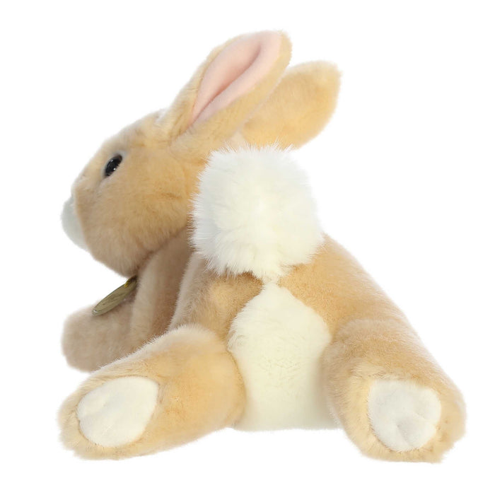 Tan Rex Resting Bunny