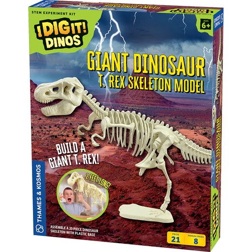 Giant Dinosaur T. Rex Skeleton Model - JKA Toys