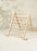 Montessori 2-In-1 Triangle & Wall Climber