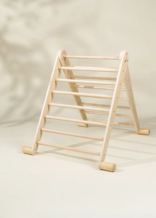 Montessori 2-In-1 Triangle & Wall Climber