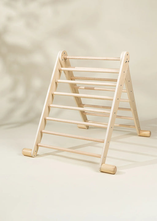 Montessori 2-In-1 Triangle & Wall Climber