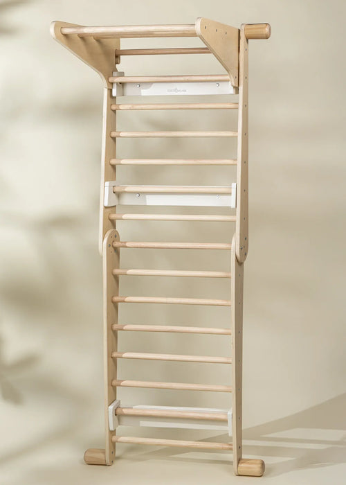 Montessori 2-In-1 Triangle & Wall Climber