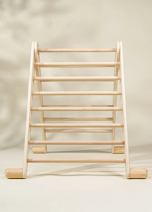 Montessori 2-In-1 Triangle & Wall Climber