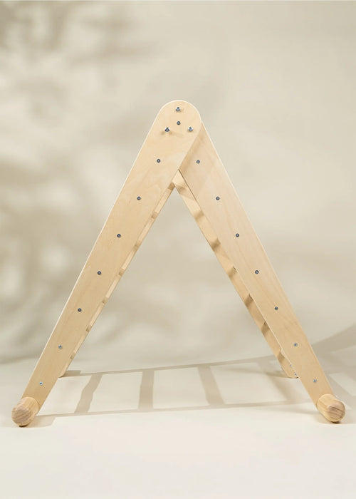 Montessori 2-In-1 Triangle & Wall Climber