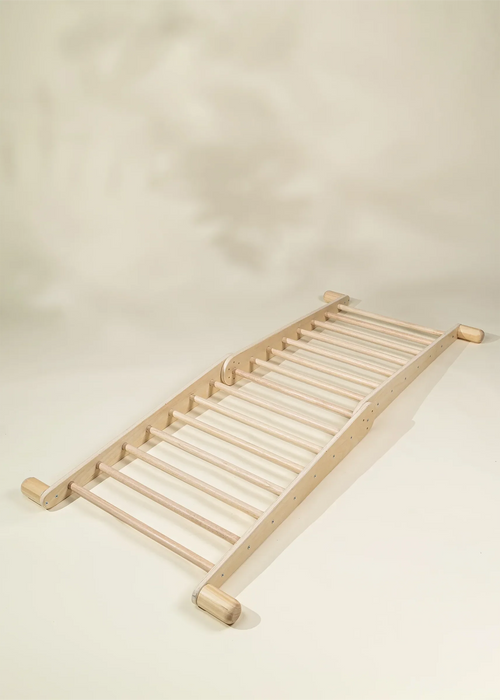 Montessori 2-In-1 Triangle & Wall Climber