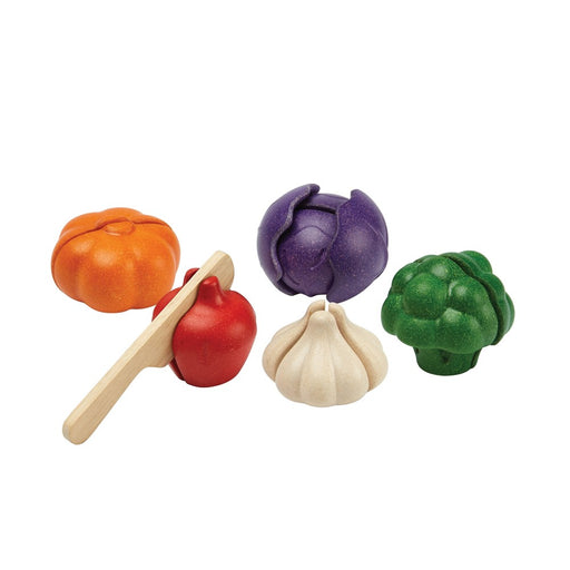 5 Colors Veggie Set - JKA Toys