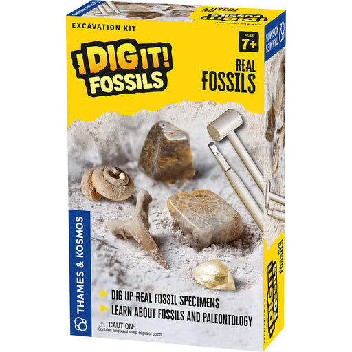 I Dig It! Real Fossils - JKA Toys