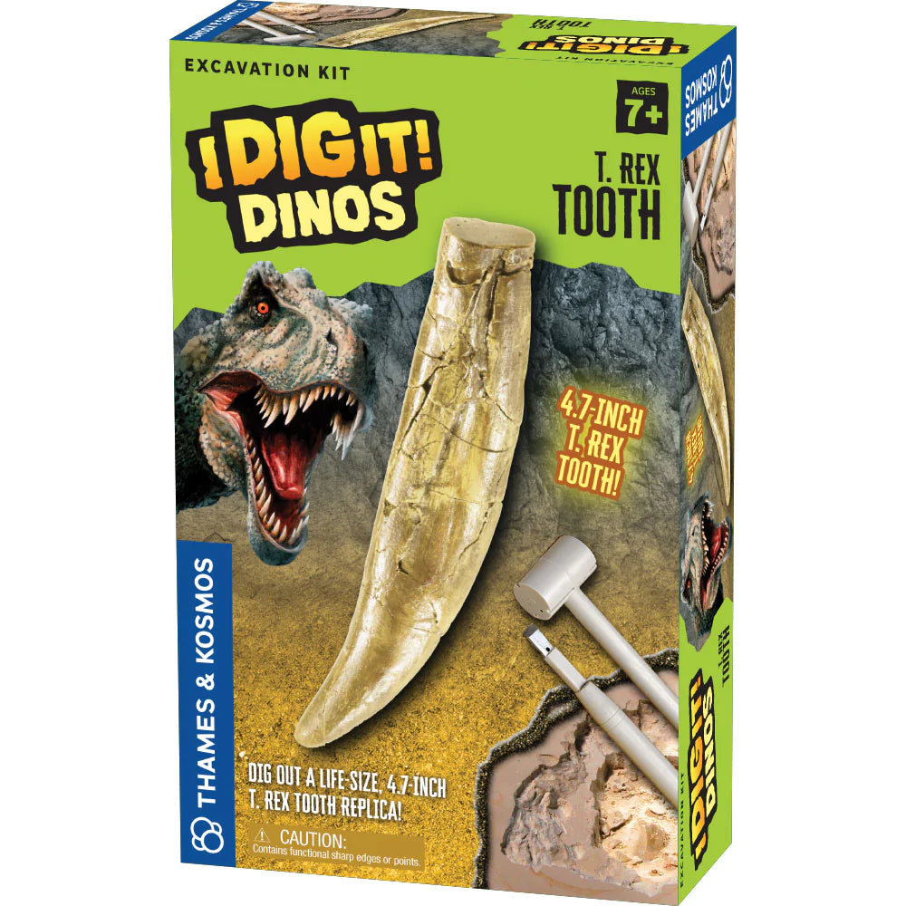 I Dig It! T-Rex Tooth - JKA Toys