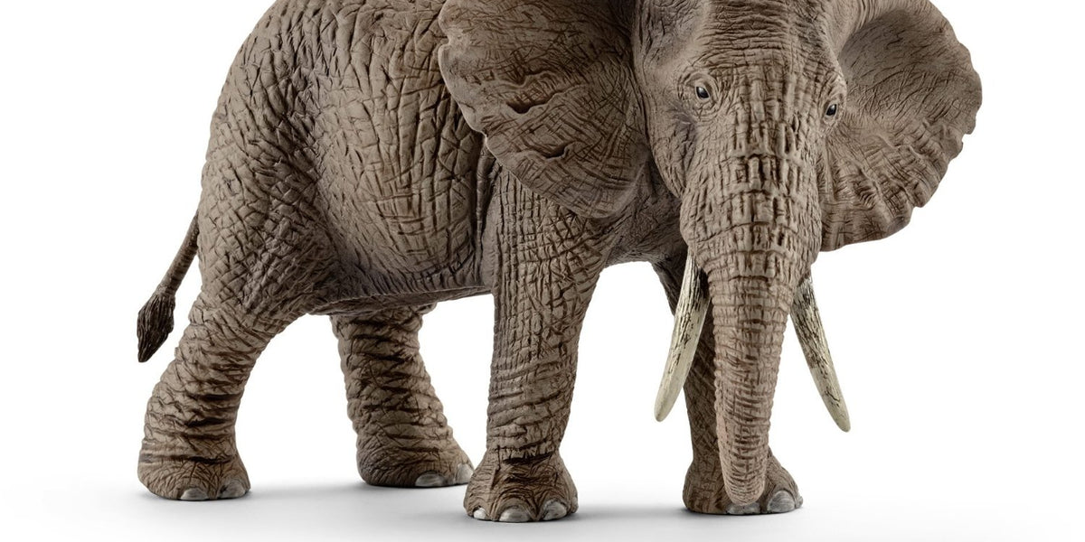 Schleich elephant clearance