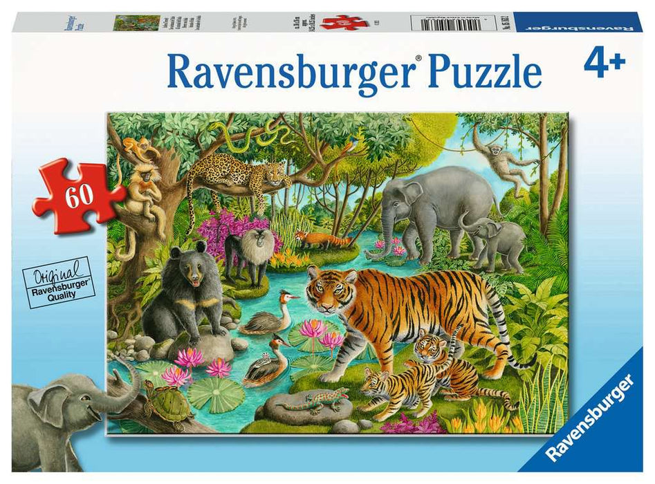 60 Piece Animals of India Puzzle - JKA Toys