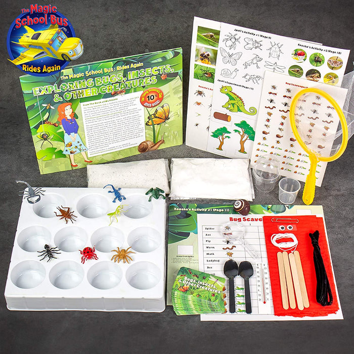 Exploring Bugs, Insects, & Other Creatures - JKA Toys