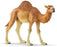 Dromedary Camel Figure - JKA Toys
