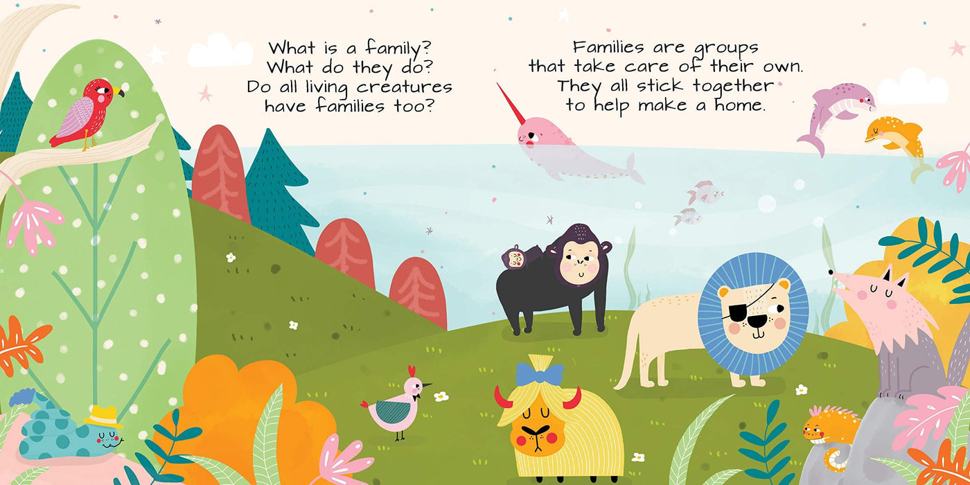 What Is A Family? Board Book - JKA Toys