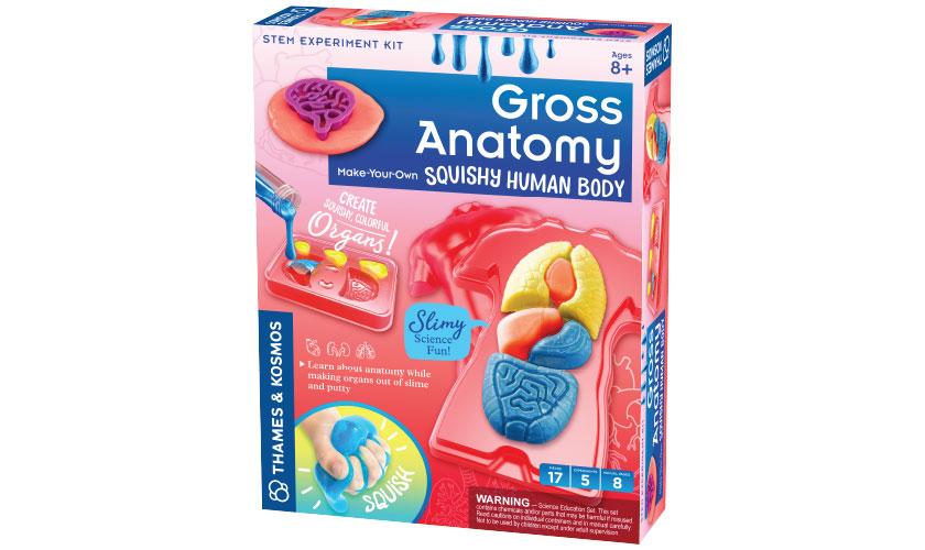 Gross Anatomy - JKA Toys